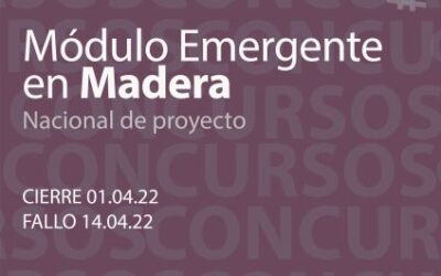 Concurso Nacional de Proyecto Módulo Emergente en Madera
