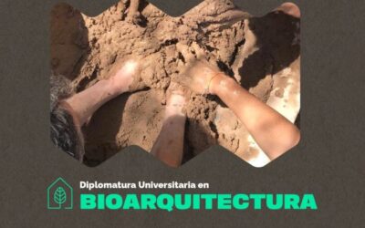 DIPLOMATURA EN BIOARQUITECTURA